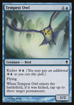 Tempest Owl